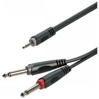 PL RAYC130L1 Roxtone למכירה , 2 image