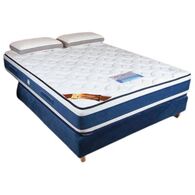 דיאמנד American Ortholex למכירה , 2 image