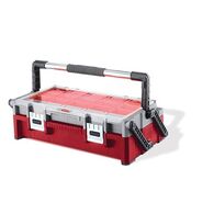 ארגונית 17185073 237004 ארגונית 22 קנדיליבר  כתר למכירה , 2 image