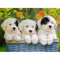 פאזל Cuddly Puppies 200 12765 חלקים Ravensburger למכירה 