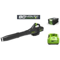 מפוח עלים 99752/1 Greenworks למכירה , 3 image