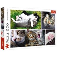 פאזל Just cat things collage 1500 26145 חלקים Trefl למכירה , 2 image