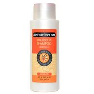 Prohair שמפו אובליפיחה טיפולי 400 מ"ל למכירה , 2 image