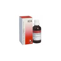 Dr. Reckeweg R24 22ml למכירה 