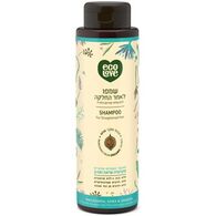 EcoLove שמפו אורגני ללא מלחים  לשיער מוחלק 500 מ"ל למכירה 