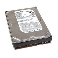 כונן קשיח  פנימי Seagate ST3300831ACE 300GB למכירה 