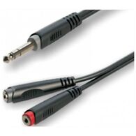 PL RAYC300L02 Roxtone למכירה , 2 image