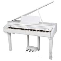 פסנתר כנף חשמלי Artesia DG26 למכירה 