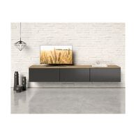 מזנון מונקו  עץ פטל למכירה , 2 image