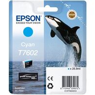 ראש דיו Epson T7602 אפסון למכירה 