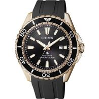 שעון יד  אנלוגי  לגבר Citizen BN019317E למכירה 
