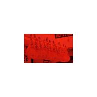 הדפסה בגודל 30X30 קנבס  תמונה בודדת למכירה , 2 image