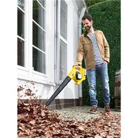 מפוח עלים Karcher LBL4 1.445-160.0 קארשר למכירה , 3 image