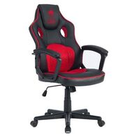 כיסא גיימינג Dragon Combat למכירה , 4 image