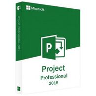 Microsoft Project Professional 2016 מיקרוסופט למכירה , 2 image
