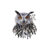 פאזל I Am Owl 550 חלקים Madd Capp למכירה , 3 image