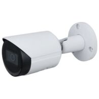 מצלמת צינור Dahua IPC-HFW2531S-S-S2 למכירה 
