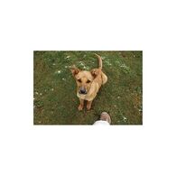 הדפסה בגודל 50x70  מעל 500 תמונות למכירה , 2 image