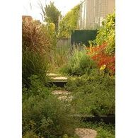 הדפסה בגודל 30x45  בין 100 ל 200 תמונות למכירה , 2 image