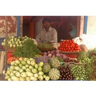 הדפסה בגודל 15x21  בין 50 ל 100 תמונות למכירה , 2 image