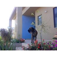 הדפסה בגודל 30x40  מעל 500 תמונות למכירה , 2 image