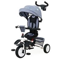 תלת אופן לילדים Country Rider Twigy טוויגי למכירה , 2 image