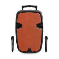 בידורית קריוקי Pure Acoustics PMW-2012 למכירה 