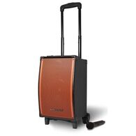 בידורית Pure Acoustics MCP-100 למכירה , 2 image