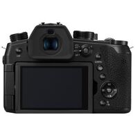 מצלמה דמוי SLR  Panasonic DC-FZ1000 II פנסוניק למכירה , 5 image