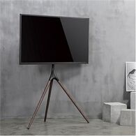 מתקן תליה לטלוויזיה FS666 Eazo למכירה , 3 image