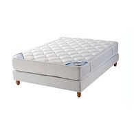 Harmony זוגי Polyron פולירון למכירה 
