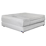 פסטורל זוגי Polyron פולירון למכירה , 2 image