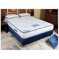 פלסידא American Ortholex למכירה , 3 image