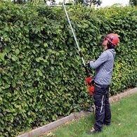 מגזמת גובה Einhel GC-HH 9048 למכירה , 3 image