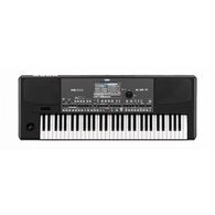 אורגן Korg PA600 למכירה 