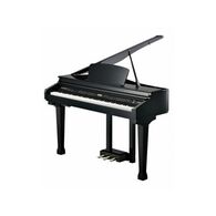 פסנתר כנף חשמלי Kurzweil KAG100 למכירה 