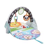 אוניברסיטה FXC14 2-in-1 Flip & Fun Activity Gym Fisher Price פישר פרייס למכירה , 2 image