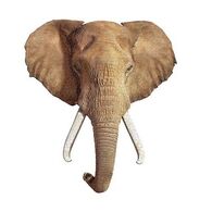פאזל I Am Elephant 700 חלקים Madd Capp למכירה 