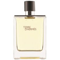 בושם לגבר Hermes Terre D'Hermes E.D.T 100ml למכירה 