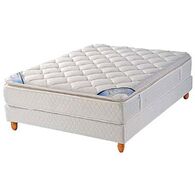 Visco Pro זוגי Polyron פולירון למכירה , 2 image