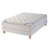 לטקס פרו דופלקס X7 זוגי Polyron פולירון למכירה , 2 image