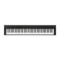 פסנתר חשמלי Korg D1 למכירה 