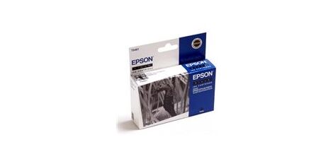 ראש דיו  שחור Epson T0481 C13T04814010 אפסון למכירה 