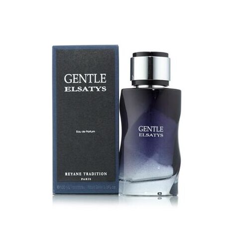 בושם לגבר Reyane Tradition Gentle Elsatys E.D.P 100ml למכירה , 2 image