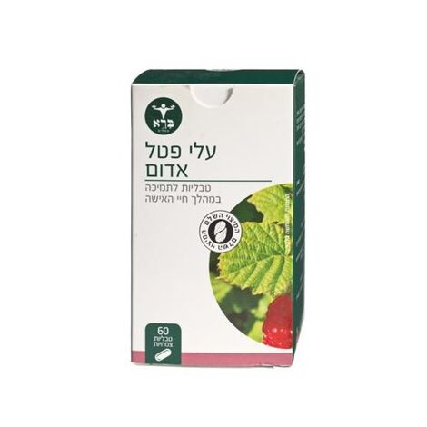 ברא עלי פטל אדום - 60 כמוסות  ברא צמחים למכירה , 3 image