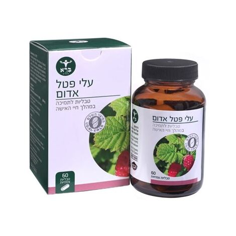 ברא עלי פטל אדום - 60 כמוסות  ברא צמחים למכירה , 2 image