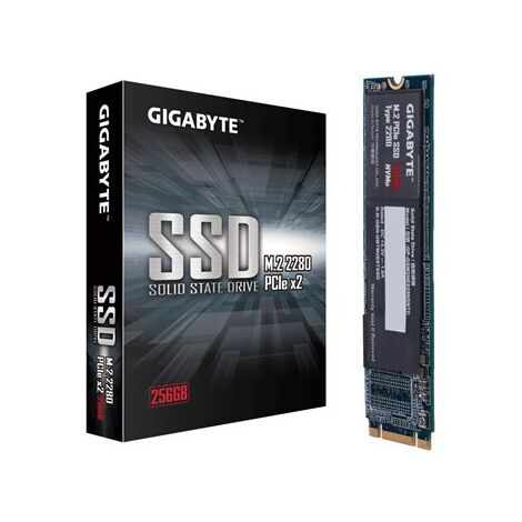 כונן SSD   פנימי Gigabyte GP-GSM2NE3256GNTD 256GB למכירה , 2 image