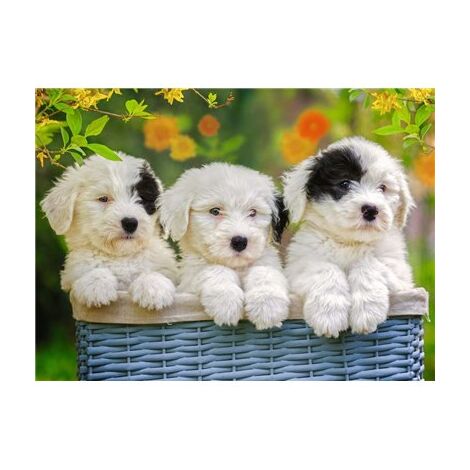 פאזל Cuddly Puppies 200 12765 חלקים Ravensburger למכירה 