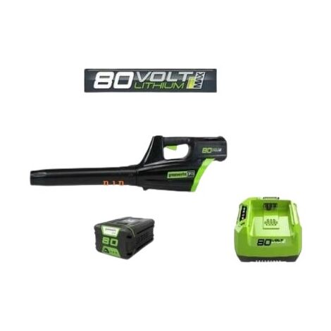 מפוח עלים 99752/1 Greenworks למכירה , 2 image