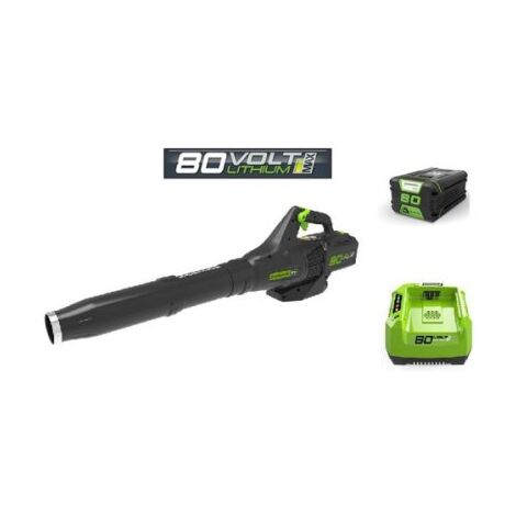 מפוח עלים 99752/1 Greenworks למכירה , 3 image